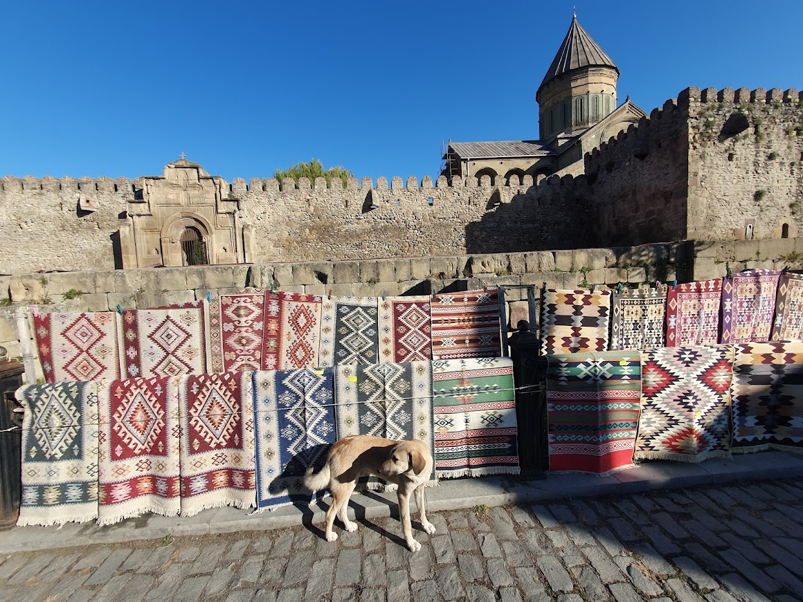 Srednjovekovna slava, savremeni čipovani psi lutalice: Scena iz Mchete