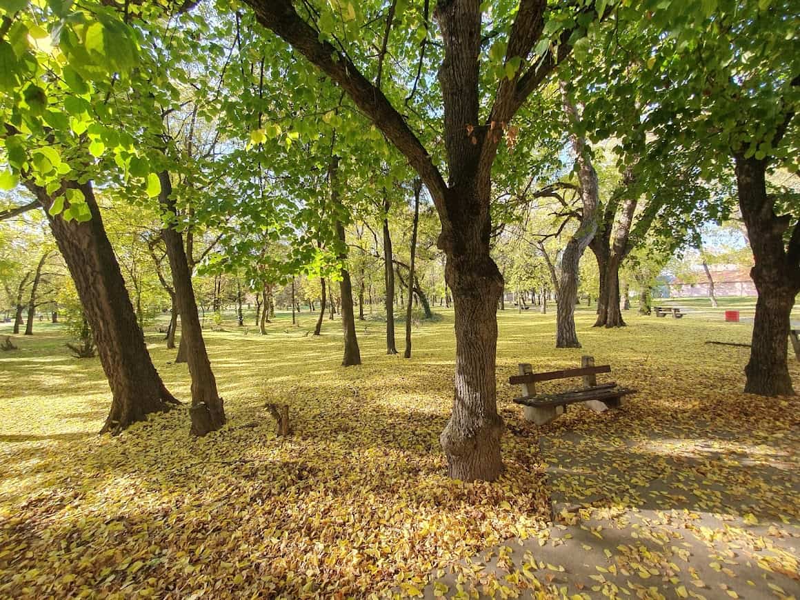 LEP I PUST: Nekadašnja dvorska bašta, danas javni park u Čoki