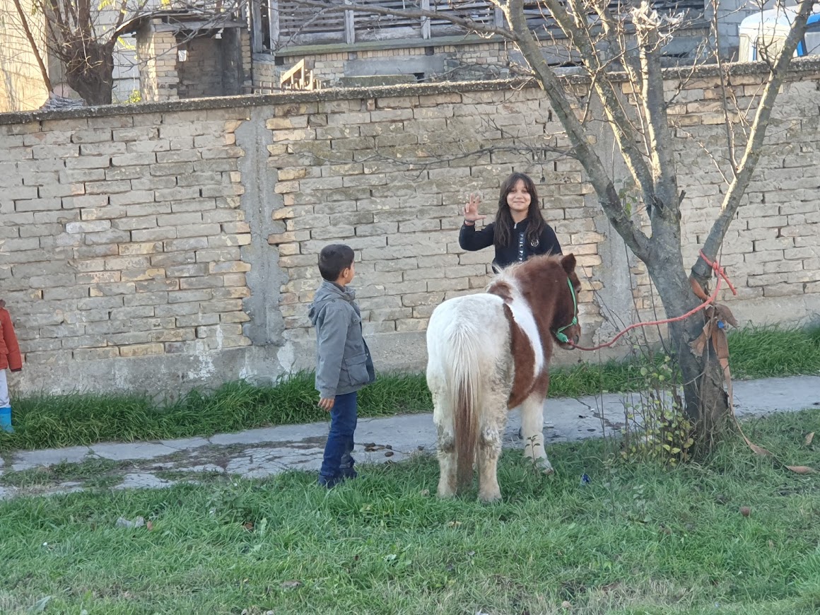 ČUVAJU ULAZ U SELO: Romska dečica sa ponijem