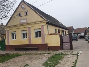PANONSKA PASTORALA: Golubovi repani pred jednom kućom u Belegišu