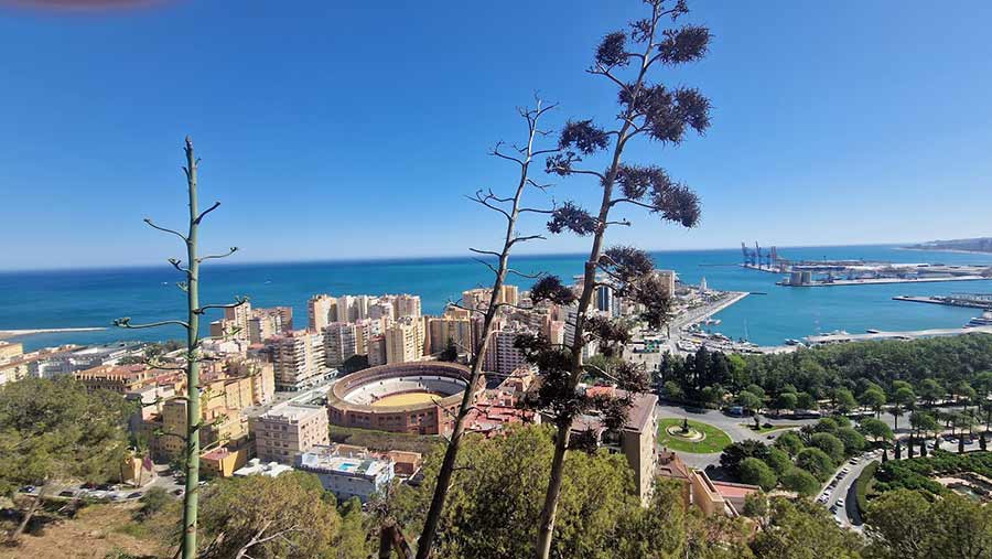 Malaga - Pogled Sa Tvrdjave