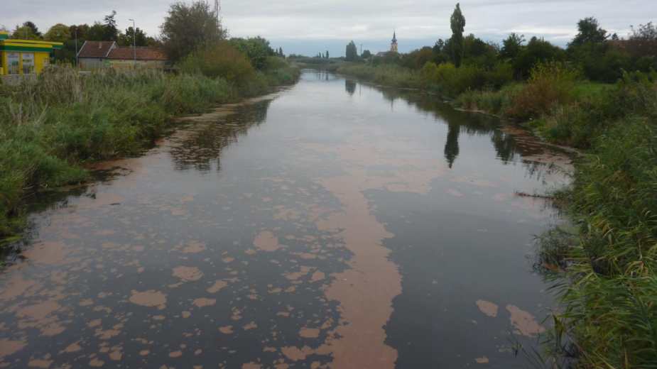 Ekološka katastrofa: Kanal Dunav-Tisa-Dunav danas