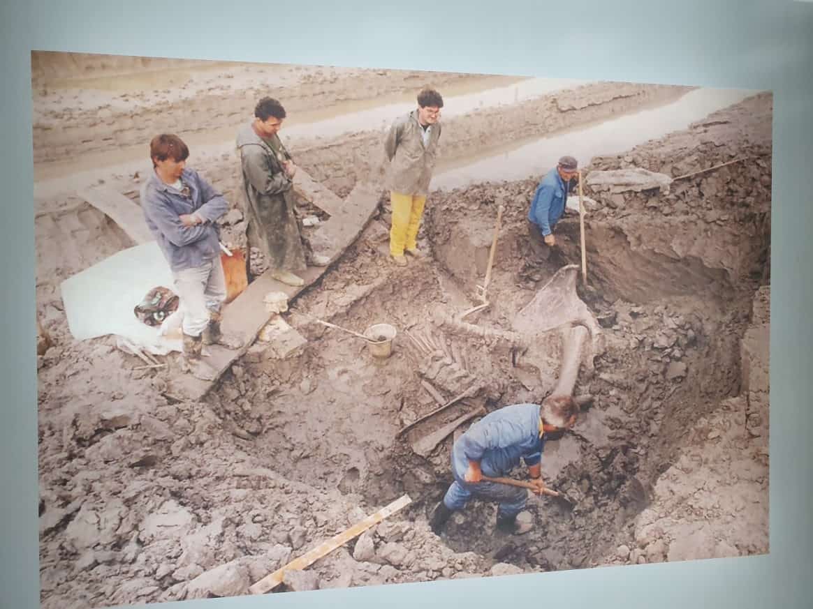 Decembar 1996: Pronalazak skeleta mamutice Kike