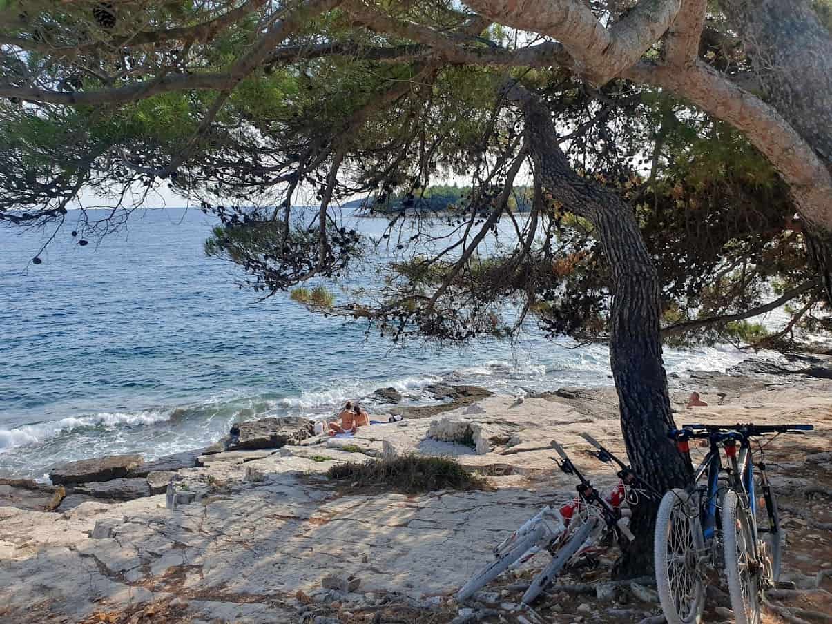 Bicikli, talasi i hladovina bora: Jedna od divljih plaža pored Rovinja