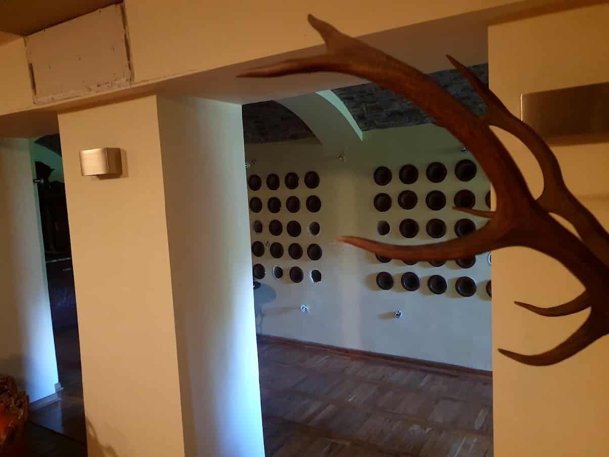 UZ SAMU GRANICU SA RUMUNIJOM: Stepenište i vinski podrum dvorca Nojhauzen