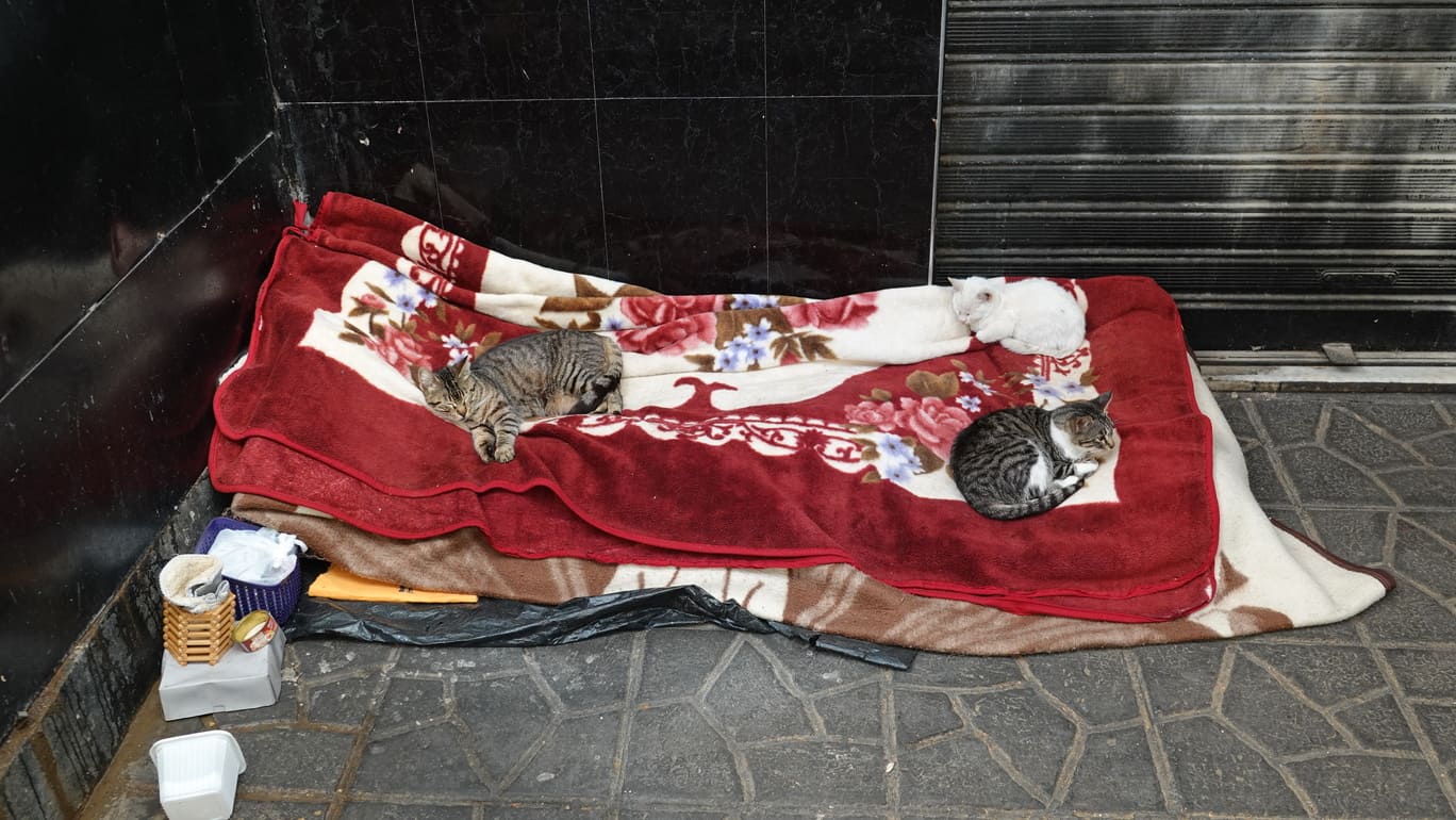 FOTO: Vladimir Cvetković Cvele