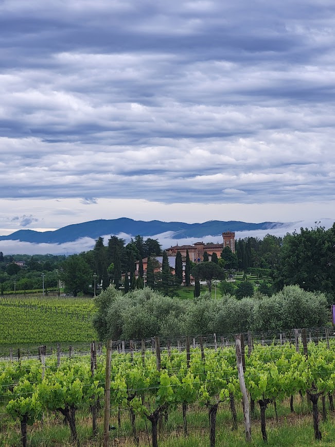 Castello di Spessa Vinogradi